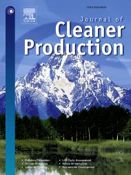 On the economics of project-induced displacement: A critique of the externality principle in resource development projects