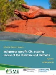 Indigenous specific CIA: scoping review of the literature and methods